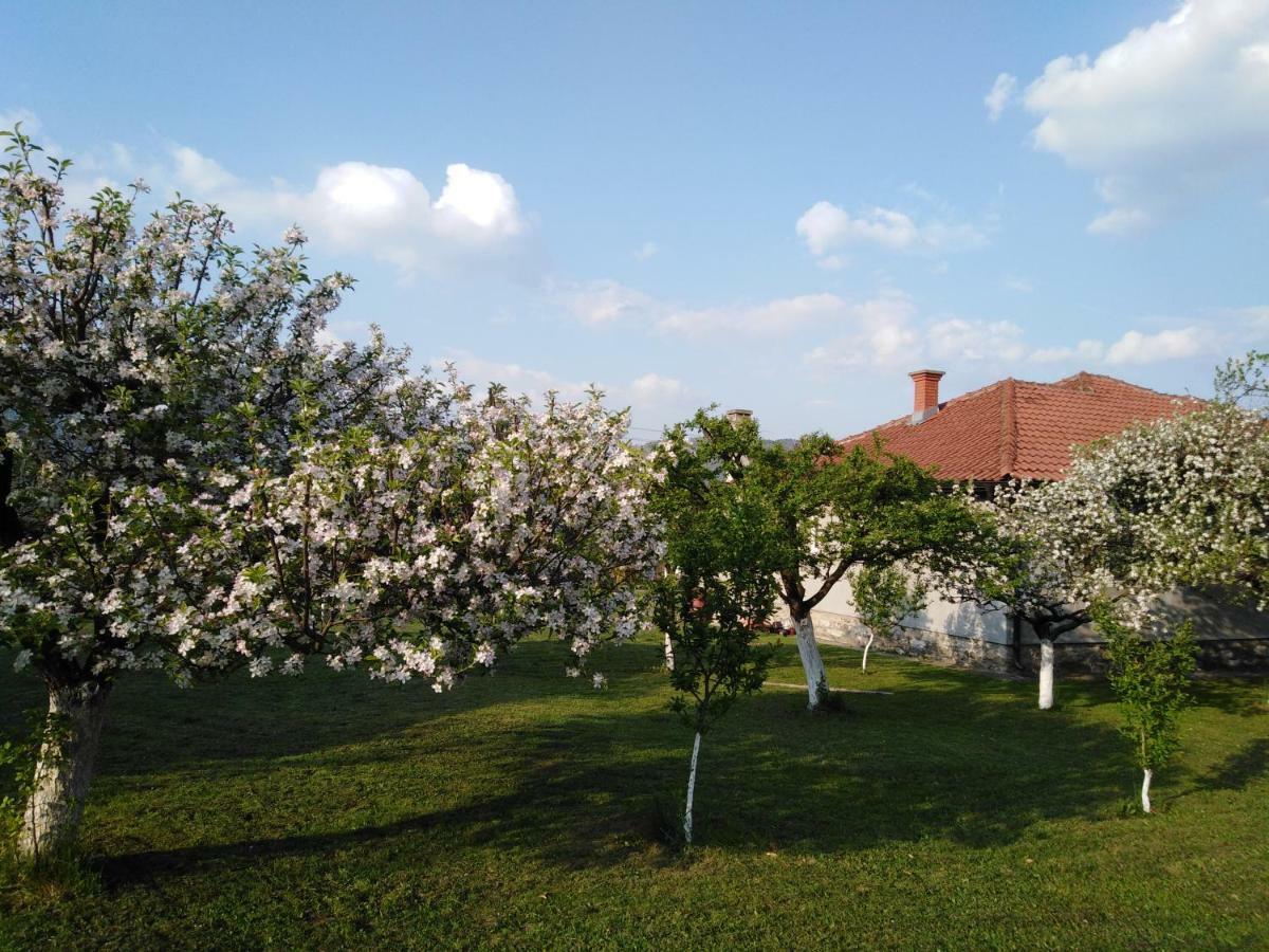 Апартаменти Mala Basta Баїна-Башта Екстер'єр фото